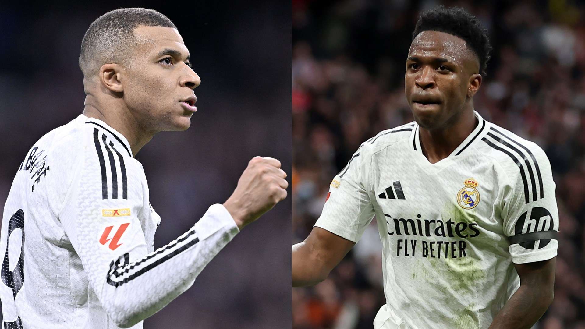 迷在享受篮 迷在享受篮