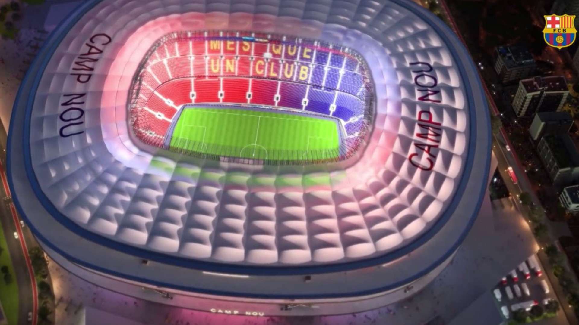 这种信念不 这种信念不